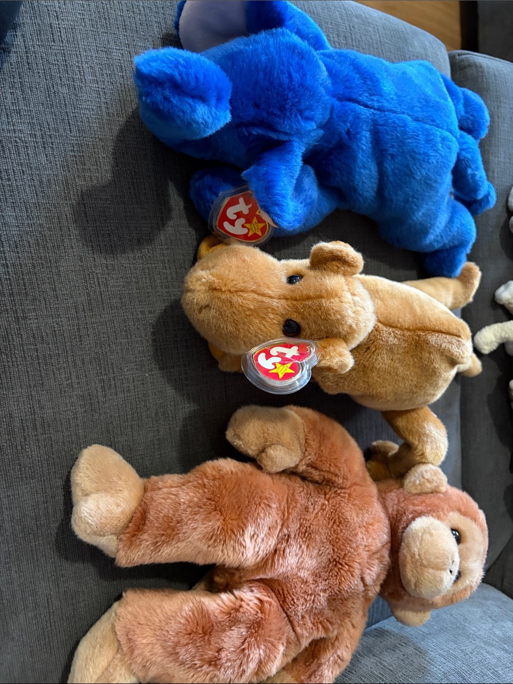 Ty Plush Trio - Blue, Light Brown, Reddish Brown Stuffed Animals